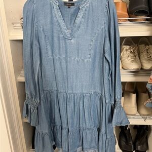 Quince Denim Dress